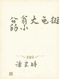 公翁大龟挺进我的小