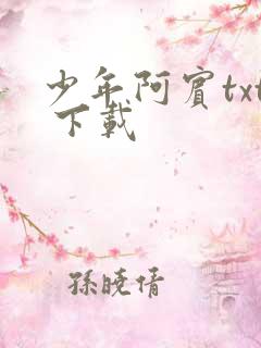 少年阿宾txt 下载