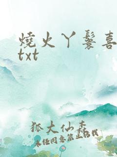 烧火丫鬟喜洋洋txt