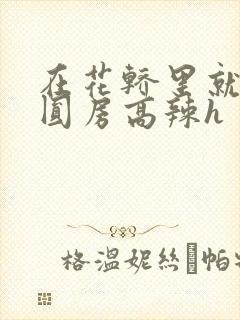 在花轿里就开始圆房高辣h