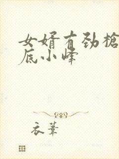 女婿有劲枪枪到底小峰