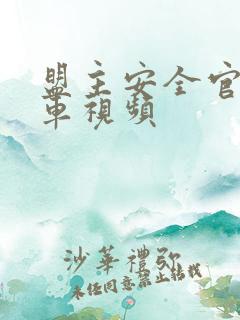 盟主安全官开火车视频