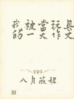 我被当玩具发泄的一天作文