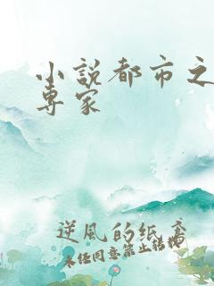 小说都市之军火专家