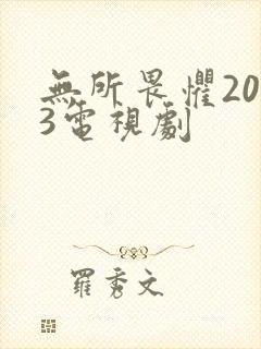 无所畏惧2023电视剧