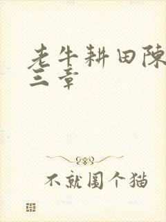 老牛耕田陈雪第三章