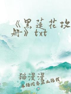 《黑莲花攻略手册》txt