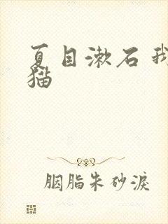 夏目漱石 我是猫