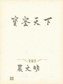 宝鉴天下