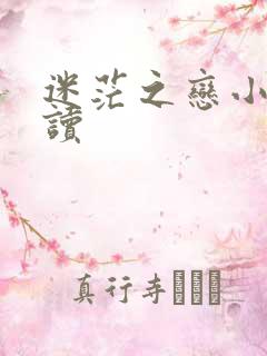 迷茫之恋小说阅读