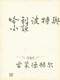 哈利波特与密室小说