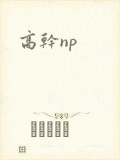 高干np
