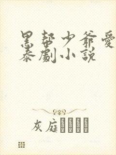 黑帮少爷爱上我泰剧小说