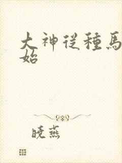 大神从种马文开始