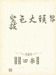 紫色大头昂扬挺拔