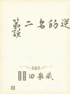 第二名的逆袭小说