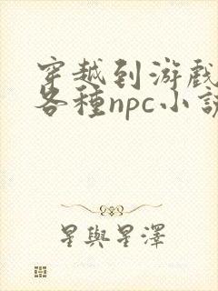 穿越到游戏里和各种npc小说