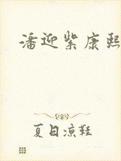 潘迎紫康熙来了