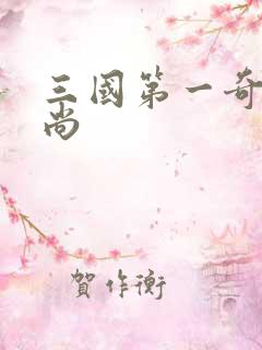 三国第一奇兵袁尚