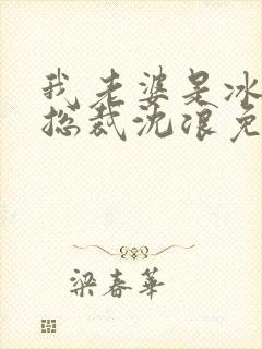 我老婆是冰山女总裁沈浪免费阅读