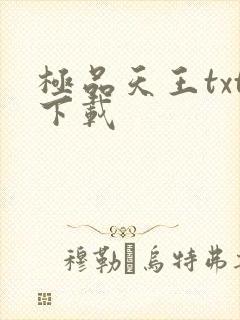 极品天王txt下载