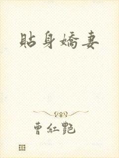 贴身娇妻