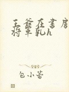 王爷在书房含女将军乳h