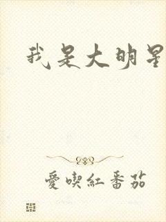 我是大明星周天