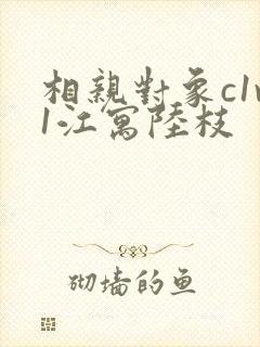 相亲对象c1v1江寓陆枝