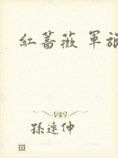 红蔷薇 军旅文
