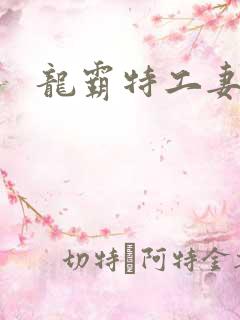 龙霸特工妻