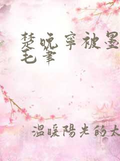 楚晚宁被墨燃塞毛笔