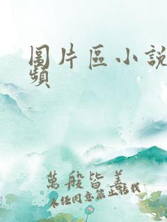 图片区小说区视频