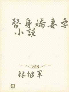 替身娇妻要离婚 小说