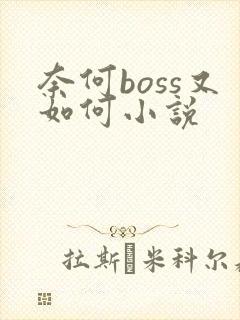 奈何boss又如何小说