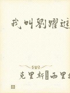 我叫刘跃进下载