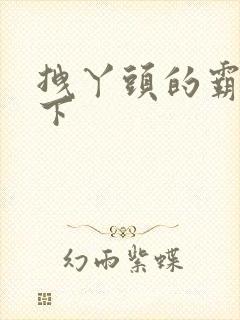 拽丫头的霸道殿下