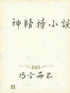神精榜小说