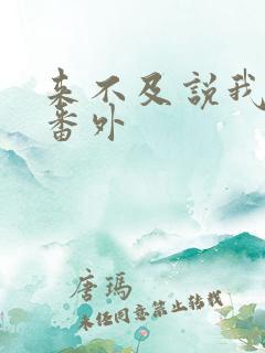 来不及说我爱你番外