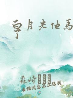 白月光他马甲掉了