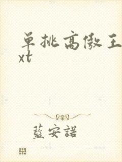 单挑高傲王子txt