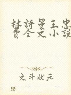 林诗曼王忠文免费全文小说的名称