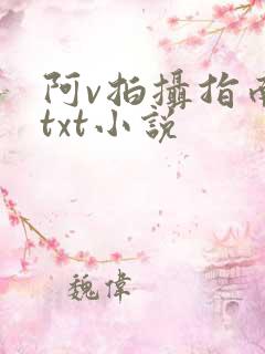 阿v拍摄指南说txt小说