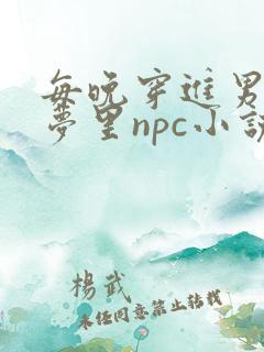 每晚穿进男神的梦里npc小说