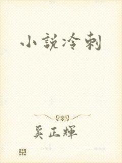 小说冷刺