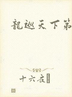 龙巡天下第四部