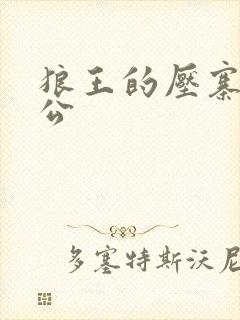 狼王的压寨小相公