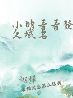 小明看看发布永久域名