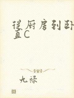 从厨房到卧室一直C