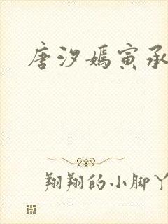 唐汐嫣寅承小说